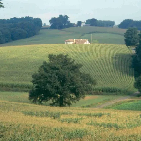 Tursan Дом отдыха